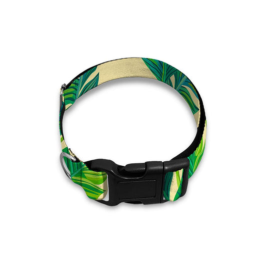 Tropical Banana Palm Leaf Pattern Print Dog Collar