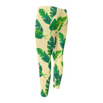 Tropical Banana Palm Leaf Pattern Print Men's Compression Pants