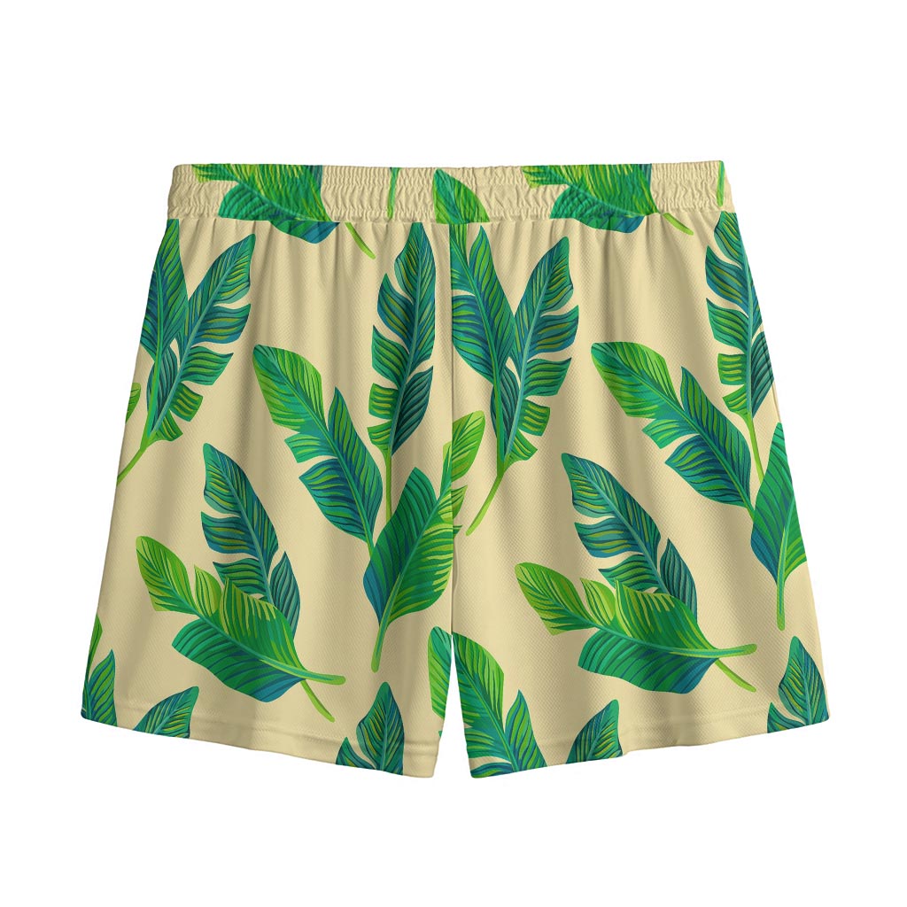 Tropical Banana Palm Leaf Pattern Print Mesh Shorts