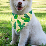 Tropical Banana Palm Leaf Pattern Print Over The Collar Dog Bandana