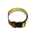 Tropical Beach Sunset Print Dog Collar