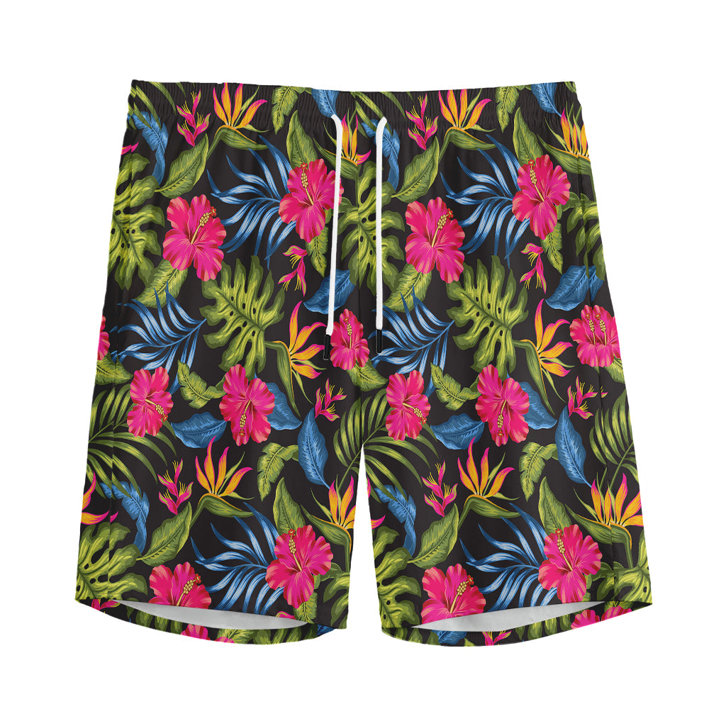 Tropical Bird Of Paradise Pattern Print Men's Sports Shorts