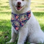 Tropical Buddha Print Over The Collar Dog Bandana