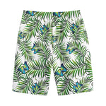 Tropical Butterfly Pattern Print Cotton Shorts
