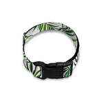 Tropical Butterfly Pattern Print Dog Collar