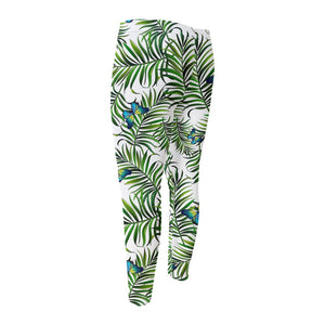 Tropical Butterfly Pattern Print Men's Compression Pants