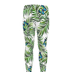 Tropical Butterfly Pattern Print Men's leggings