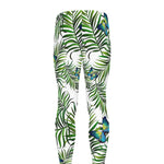 Tropical Butterfly Pattern Print Men's leggings