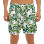 Tropical Butterfly Pattern Print Men's Split Running Shorts