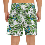 Tropical Butterfly Pattern Print Men's Split Running Shorts