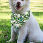 Tropical Butterfly Pattern Print Over The Collar Dog Bandana