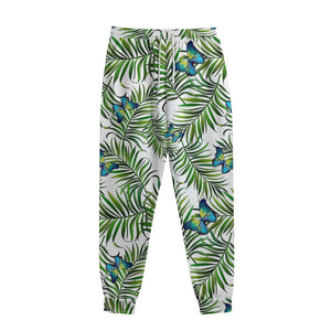 Tropical Butterfly Pattern Print Sweatpants