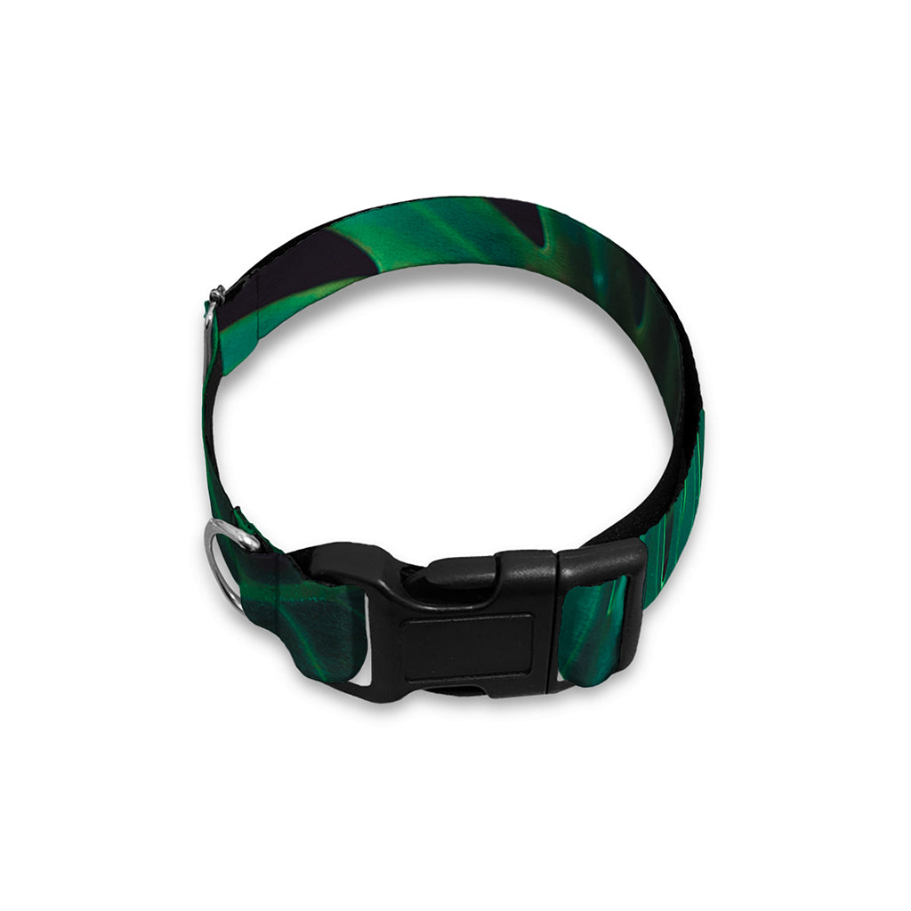 Tropical Fern Leaf Print Dog Collar