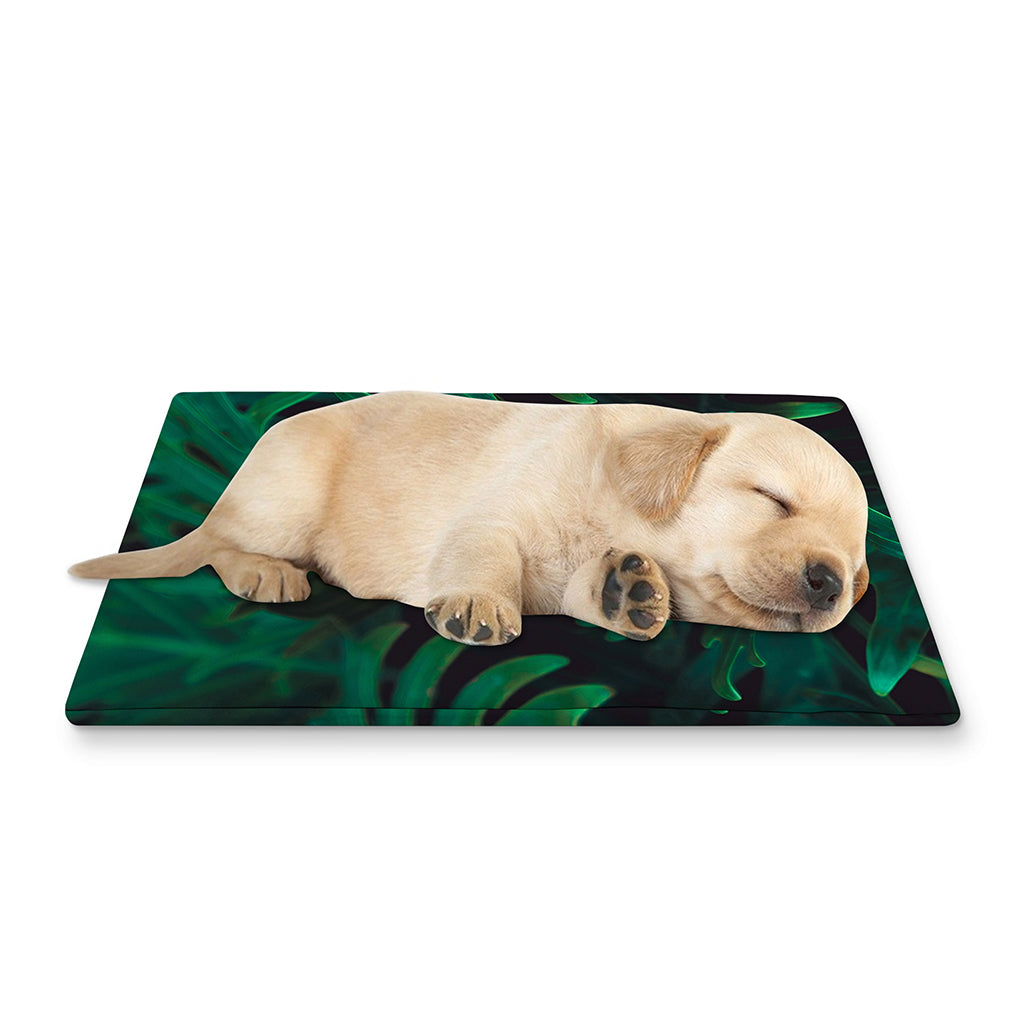 Tropical Fern Leaf Print Pet Cooling Mat Cover