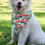 Tropical Floral Flamingo Pattern Print Over The Collar Dog Bandana