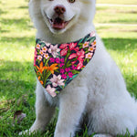 Tropical Flowers Pattern Print Over The Collar Dog Bandana