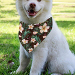 Tropical Frangipani Flower Print Over The Collar Dog Bandana