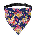 Tropical Frangipani Plumeria Print Over The Collar Dog Bandana