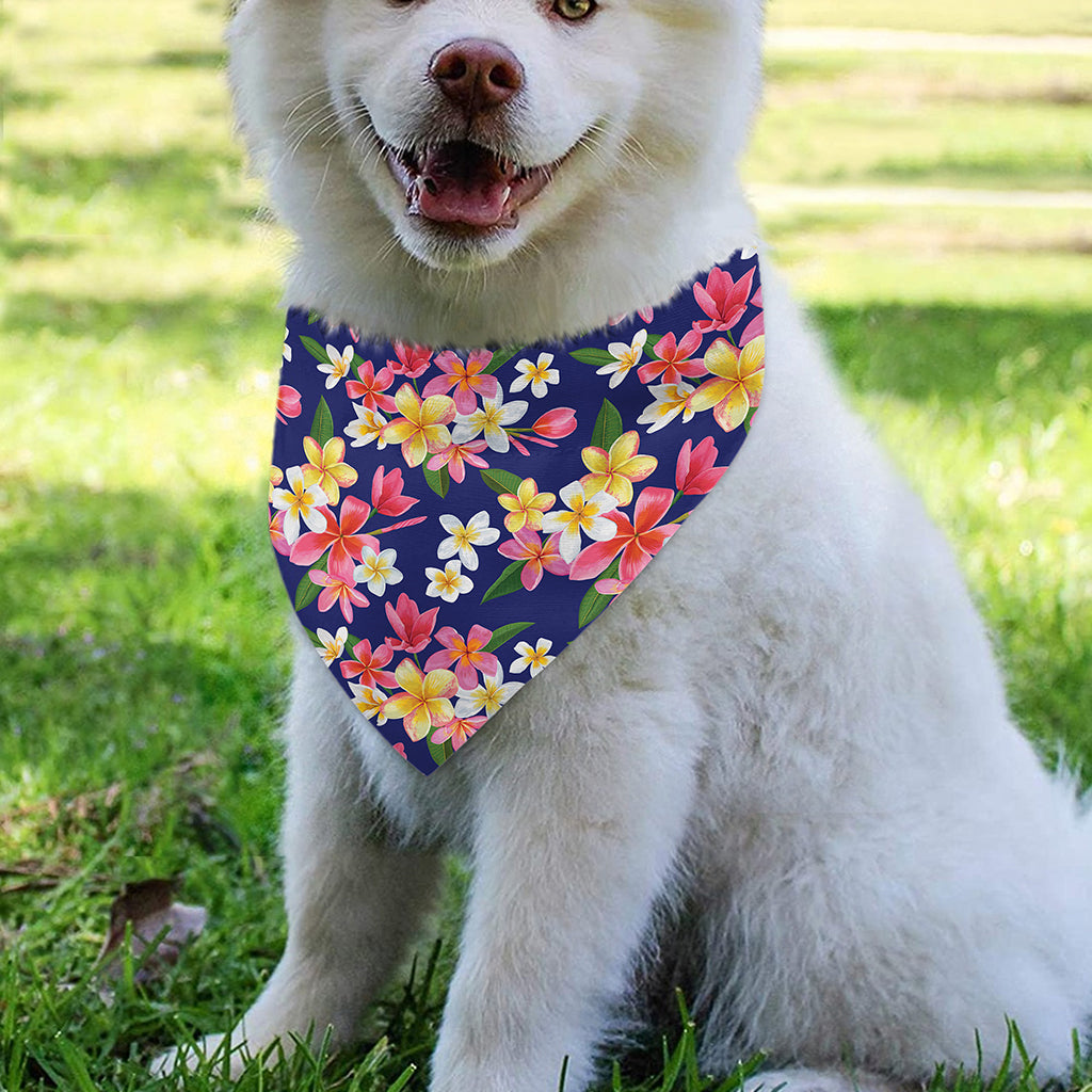 Tropical Frangipani Plumeria Print Over The Collar Dog Bandana