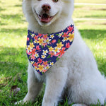 Tropical Frangipani Plumeria Print Over The Collar Dog Bandana