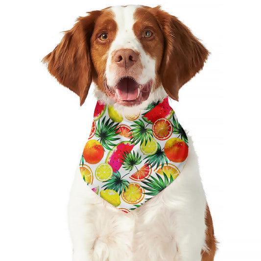 Tropical Fruit Leaf Pattern Print Dog Bandana