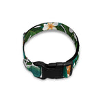 Tropical Giraffe Pattern Print Dog Collar