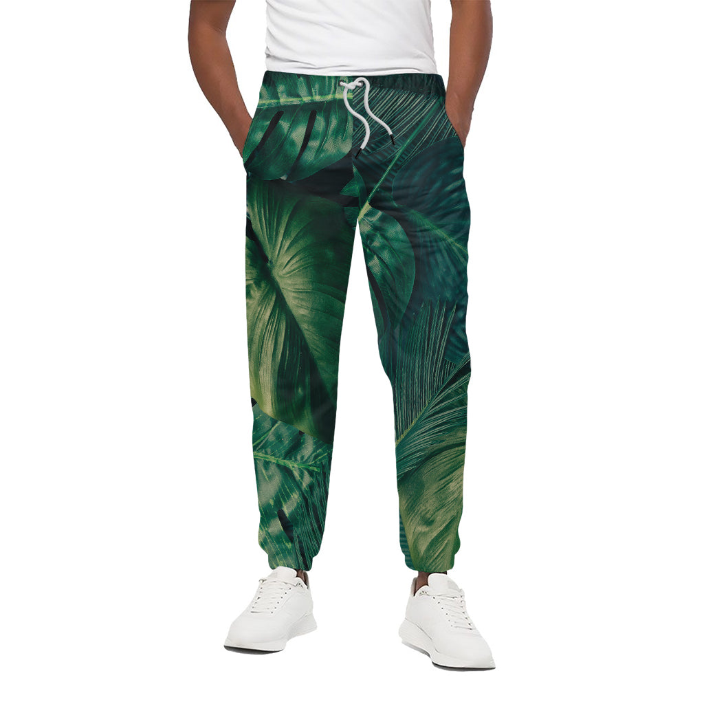 Tropical Green Leaves Print Cotton Pants