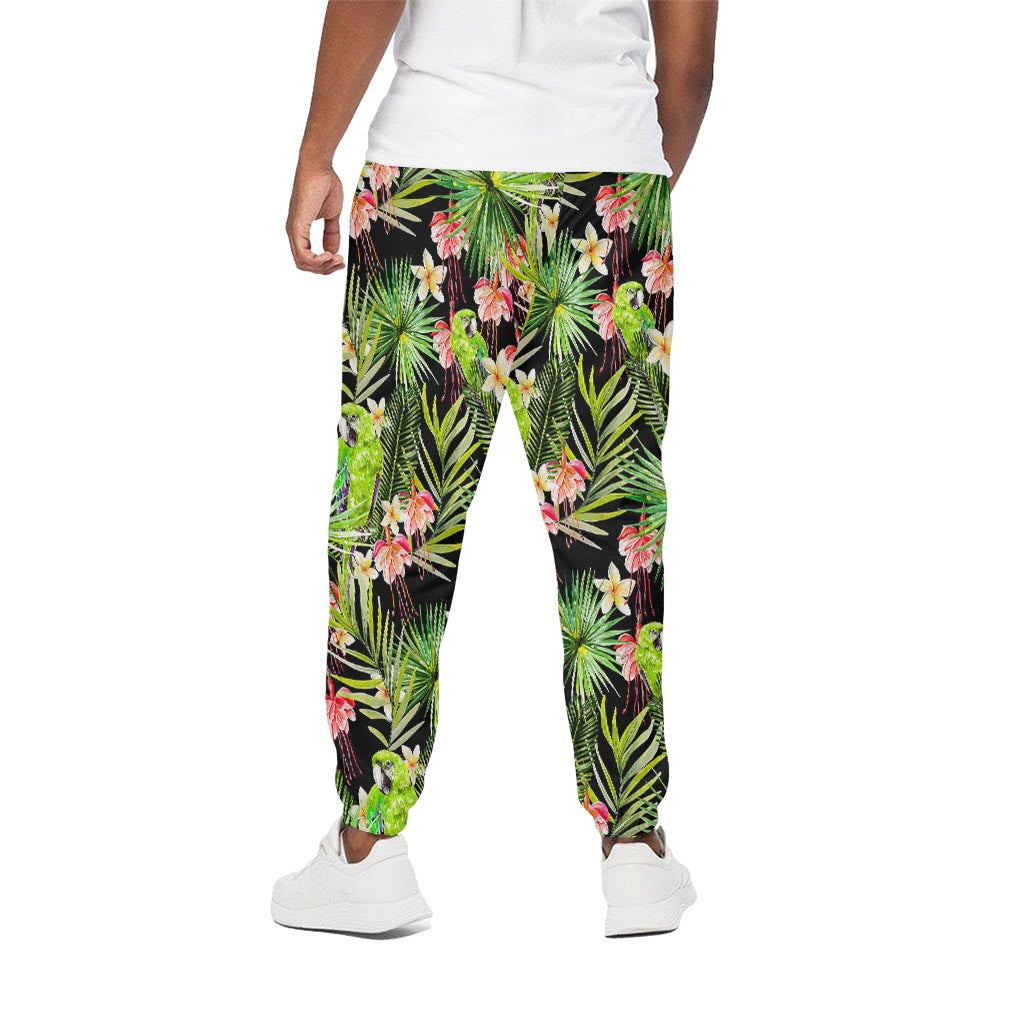 Tropical Hawaiian Parrot Pattern Print Cotton Pants