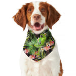 Tropical Hawaiian Parrot Pattern Print Dog Bandana