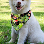 Tropical Hawaiian Parrot Pattern Print Over The Collar Dog Bandana