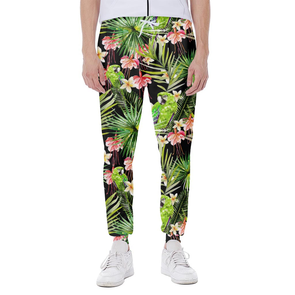 Tropical Hawaiian Parrot Pattern Print Scuba Joggers