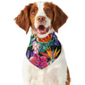Tropical Hummingbird Print Dog Bandana