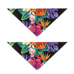 Tropical Hummingbird Print Dog Bandana