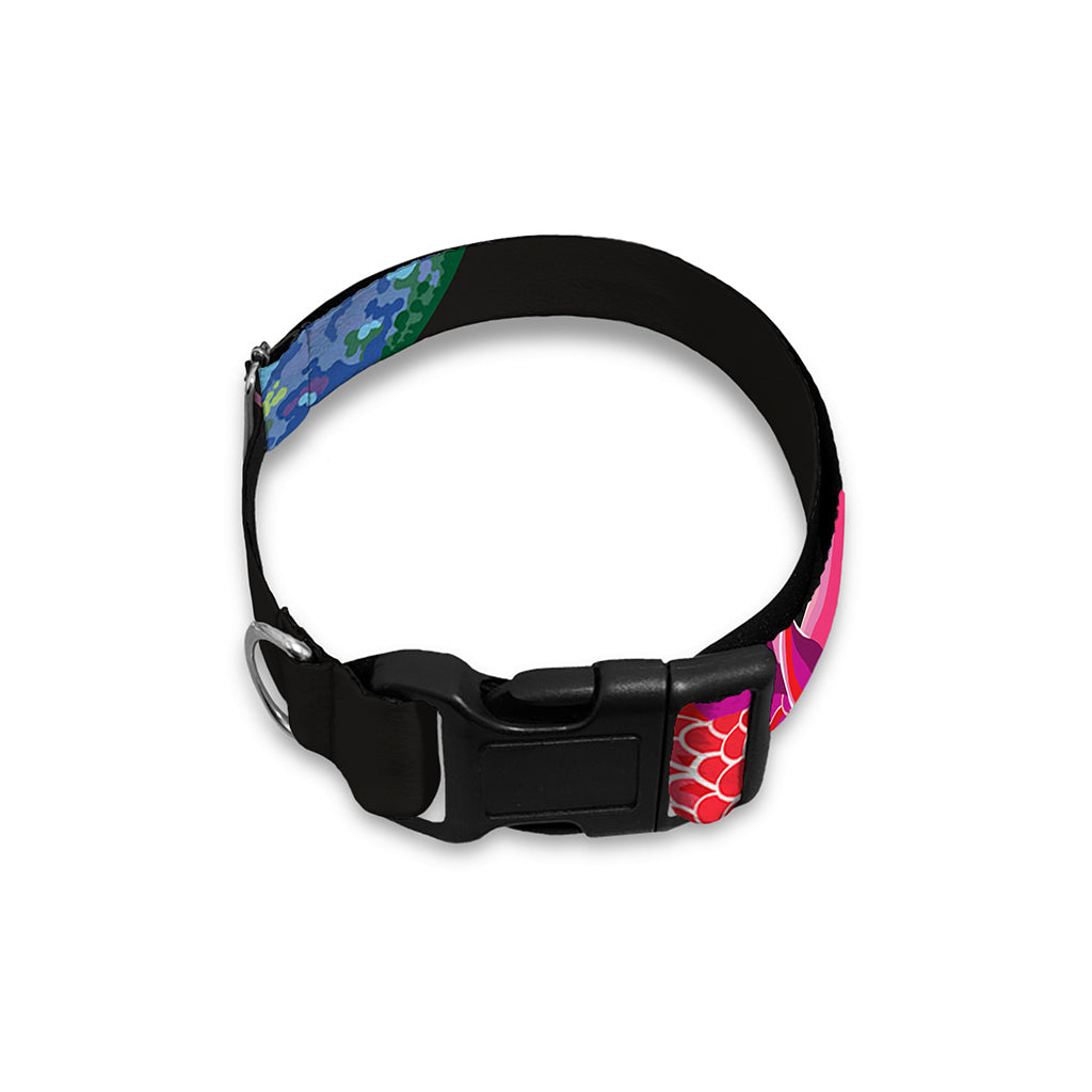 Tropical Hummingbird Print Dog Collar