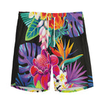 Tropical Hummingbird Print Men's Sports Shorts