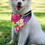 Tropical Hummingbird Print Over The Collar Dog Bandana