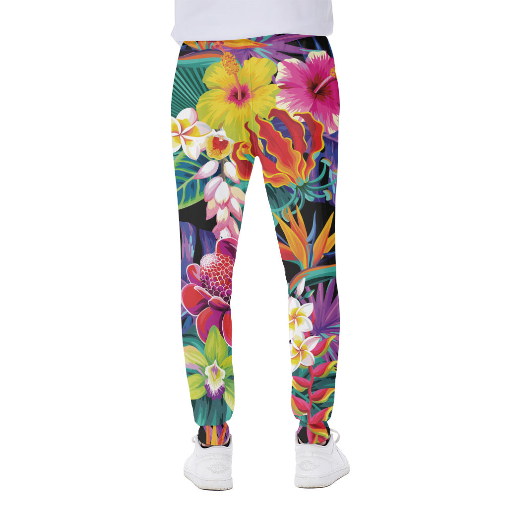 Tropical Hummingbird Print Scuba Joggers