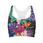 Tropical Hummingbird Print Women's Sports Bra