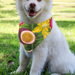 Tropical Jungle Fruits Pattern Print Over The Collar Dog Bandana