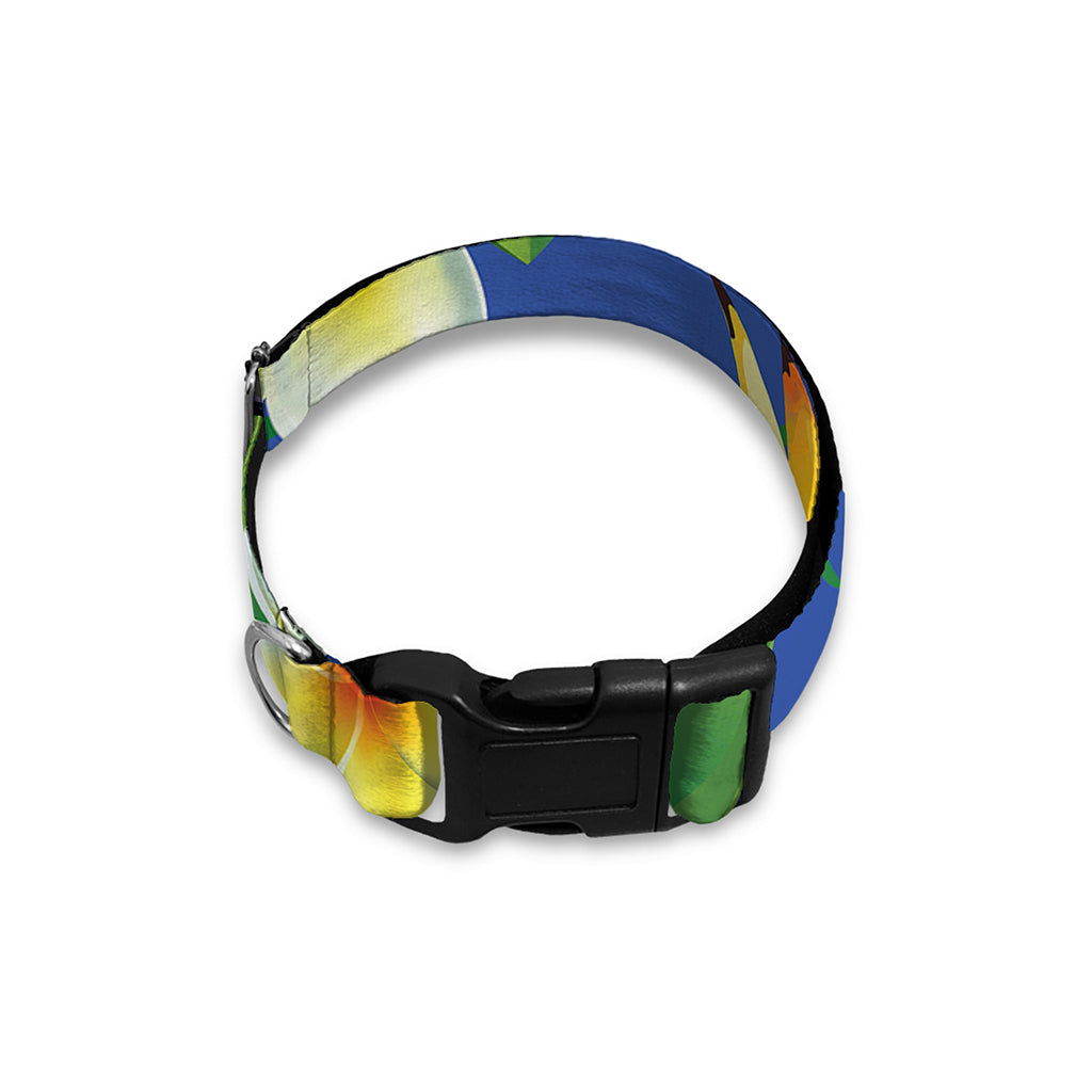 Tropical Keel-Billed Toucan Print Dog Collar