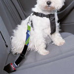 Tropical Keel-Billed Toucan Print Dog Seat Belt