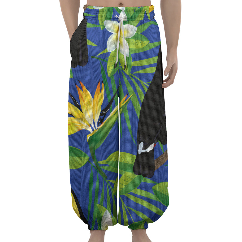 Tropical Keel-Billed Toucan Print Lantern Pants