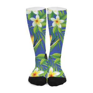 Tropical Keel-Billed Toucan Print Long Socks