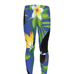 Tropical Keel-Billed Toucan Print Men's leggings