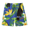 Tropical Keel-Billed Toucan Print Men's Swim Trunks