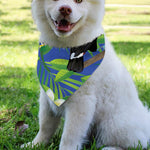 Tropical Keel-Billed Toucan Print Over The Collar Dog Bandana