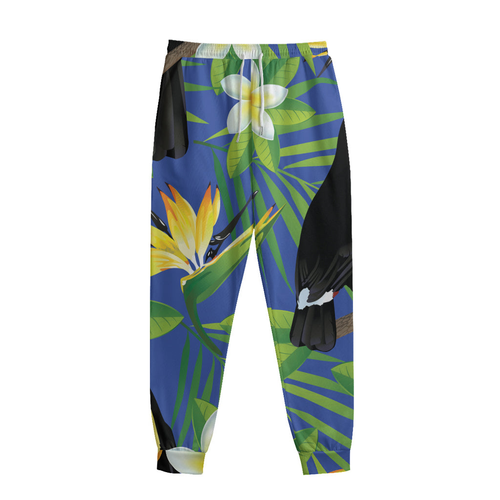 Tropical Keel-Billed Toucan Print Sweatpants