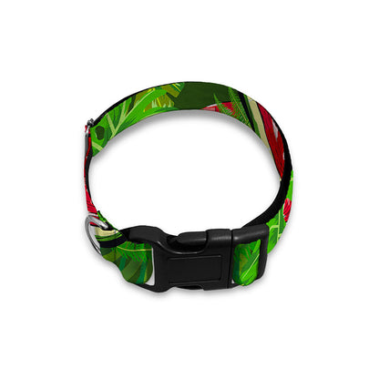 Tropical Leaf Watermelon Pattern Print Dog Collar