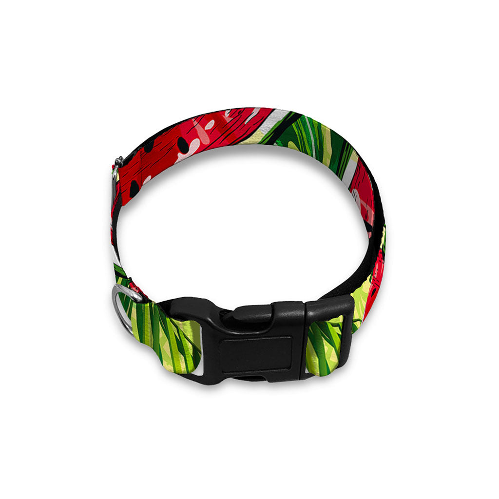 Tropical Leaves Watermelon Pattern Print Dog Collar