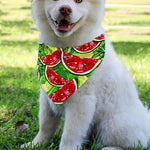 Tropical Leaves Watermelon Pattern Print Over The Collar Dog Bandana